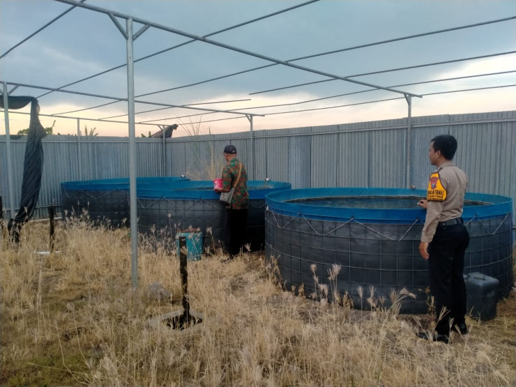 Polsek Gedangan dan Pemdes Ganting Wujudkan Ketahanan Pangan melalui Budidaya Ikan Nila