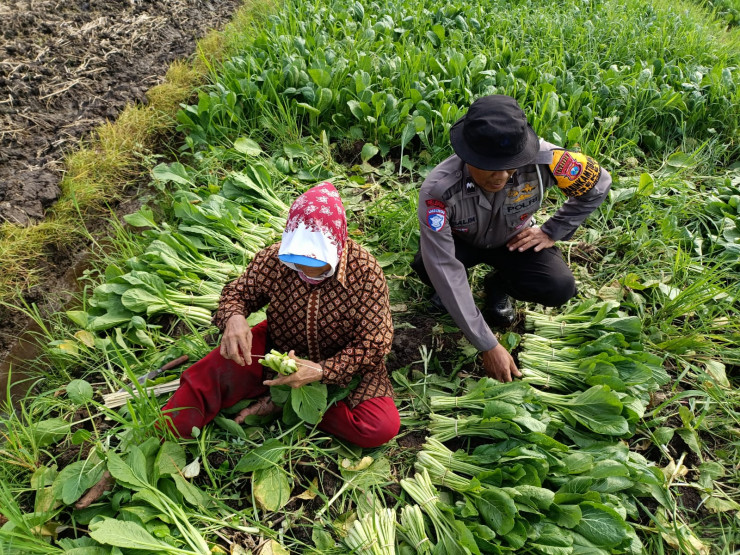 Polsek Balongbendo Dukung Program P2B dengan Kelola Pekarangan