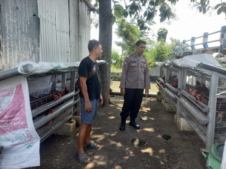 Polsek Candi Laksanakan Pengecekan Program Ketahanan Pangan Ternak Ayam Petelur di Desa Sugiwaras