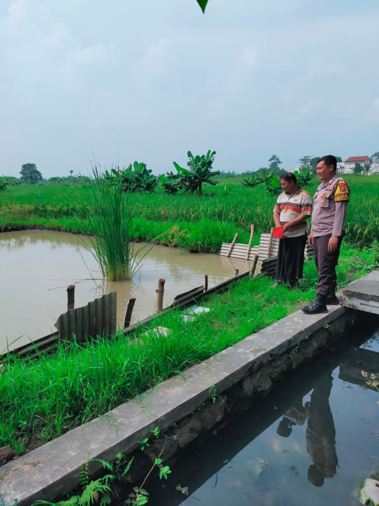 Polsek Sukodono Tinjau Program Ketahanan Pangan Budidaya Ikan Nila