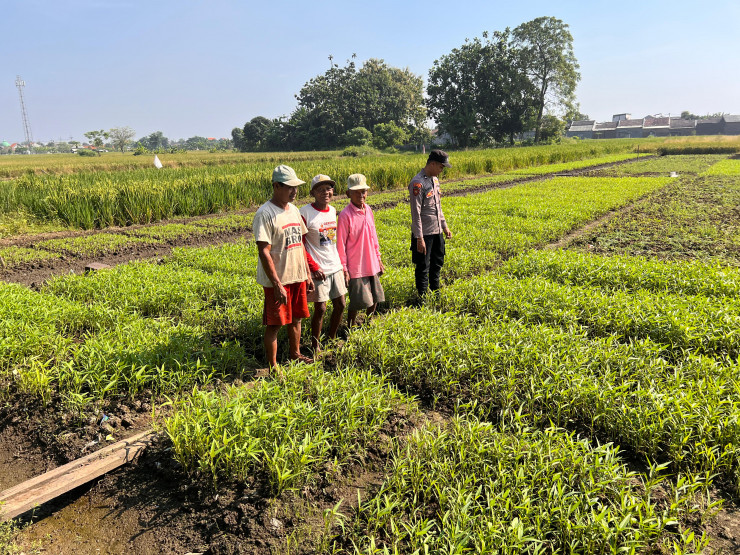 Bhabinkamtibmas Lemujut Dukung P2B Petani Desa