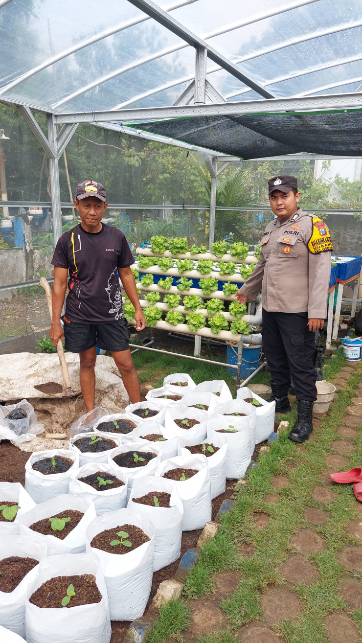 Siapkan Lahan Pekarangan di Gedangan Dukung Ketahanan Pangan Nasional