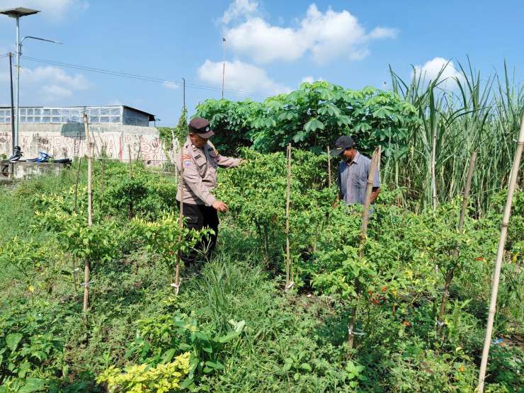 Bhabinkamtibmas Pangkemiri Motivasi Upaya Warga Kelolah Lahan Ketahanan Pangan untuk Tanaman Sayur