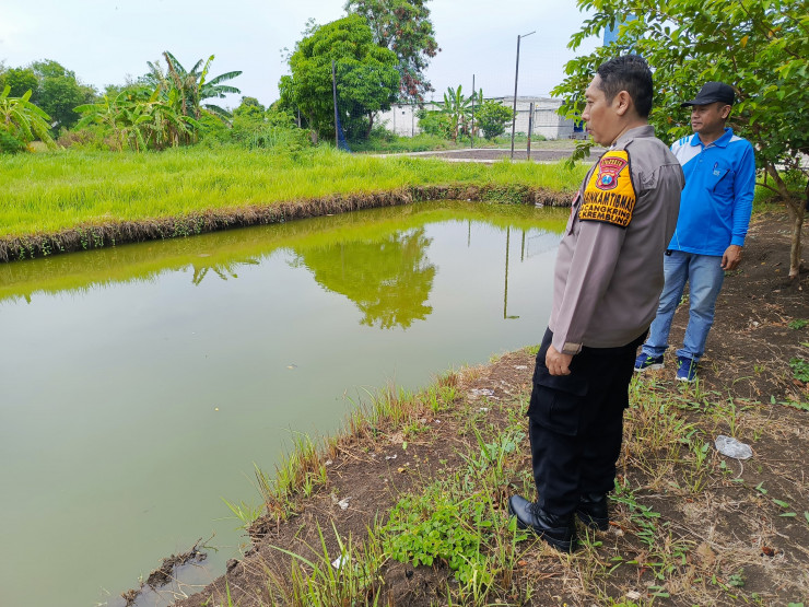 Polsek Tanggulangin Sambangi Pertanian Terong Desa Kalidawir, Dukung Ketahanan Pangan Polresta Sidoarjo