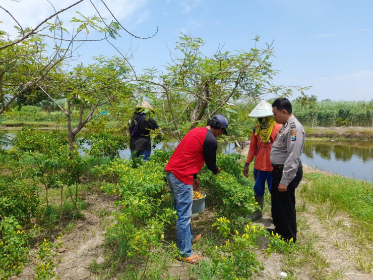 Bhabinkamtibmas Koordinasi dengan Warga Terkait Program Pekarangan Pangan Bergizi di Desa Permisan